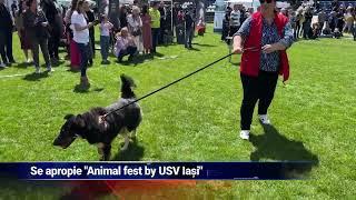 Se apropie "Animal Fest by USV Iași"