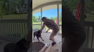 Dog becomes friends with the UPS delivery guy! ️  -   Viralhog