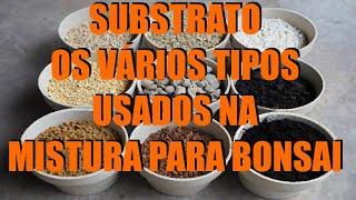 Substrato - Os vários tipos usados na mistura para bonsai