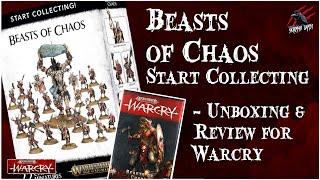 WARCRY BEASTS OF CHAOS UNBOXING REVIEW - START COLLECTING - WARCRY CARDS - Enough For A Warband?