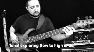 La Bella Rx-S5D Stainless Steel String demo - MTD USA Saratoga