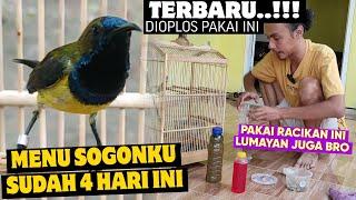 SUDAH 4 HARI SOGON PAKAI INI ‼️ TERNYATA RACIKAN NEKTAR SEKARANG DIOPLOS PAKAI INI