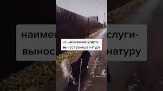 Покупка участка. Выноси границы, не выноси мозг!