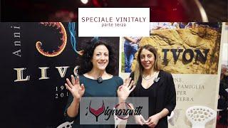 Speciale Vinitaly - IL FRIULI