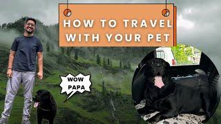 Travelling With My Dog In Mountains |Lucky Is So Happy  #doglover #lucky