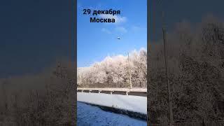 Москва 29 декабря. Как в сказке 