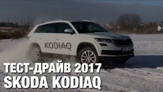 Skoda Kodiaq Тест Драйв и Обзор