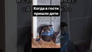 Когда в гости пришли дети #хочуврек #приколы #дети #котики #кот