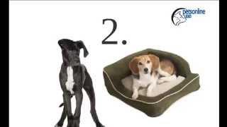 dog bed uae,dubai,abudhabi.PetsOnlineUae.com