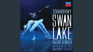 Tchaikovsky: Swan Lake, Op. 20 - Mariinsky Version / Act 2 - Pas de deux: Coda (Allegro molto...