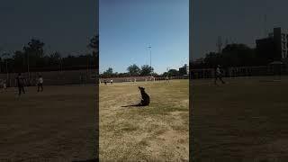 Cricket match bar association Udaipur Rajasthan