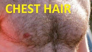 how to get rid of chest hair fast and permanently