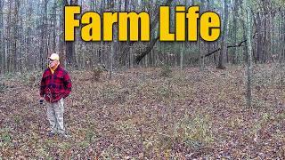 Life on the Farm December - Egg Production Goose Season Injured Deer