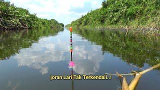 Aksi Mendebarkan! Menemukan surganya ikan, Mancing Dengan Hasil yang Memuaskan! joran tak terkendali