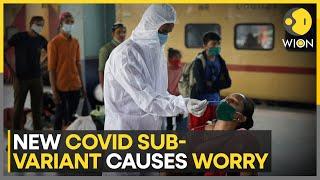 India Covid: New JN.1 sub-variant causes worry, India report 4,097 active cases | WION