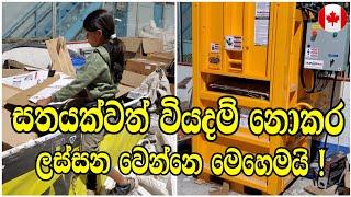 සතයක්වත් වියදම් නොකර ලස්සන වෙන විදිහ | Canada Sinhala Vlogs | සිංහල | @SehaVlogs