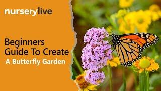 Beginners Guide To Create A Butterfly Garden | nurserylive