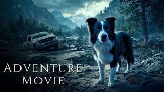 A Dog Who Survived a Disaster Brings a New Chance at Life | HD Adventure Movie