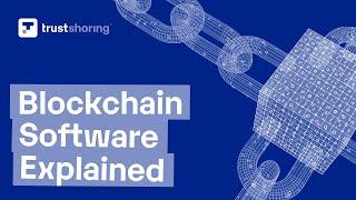 Everything You Need to Know About Blockchain Software Development