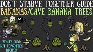 Don't Starve Together Guide: Bananas & Cave Banana Trees