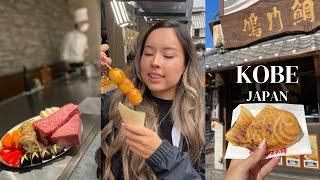 Kobe, Japan Food Vlog | Kobe for lunch and dinner, Kobe vs. Wagyu 