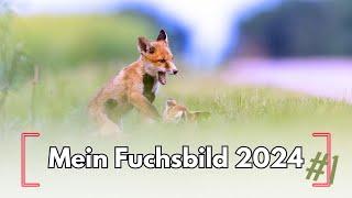 Bekomme ich mein Fuchsbild 2024 