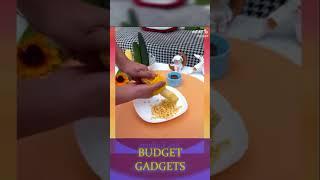 Best Kitchen Gadget #viralshorts #viral #ytshorts #youtubeshorts #youtube #Budgetgadgets