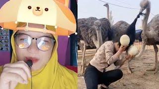 NYURI TELUR BURUNG UNTA, INI YANG TERJADI | DUBBING LUCU GADIS NAURA OFFICIAL #shorts #lucu #viral