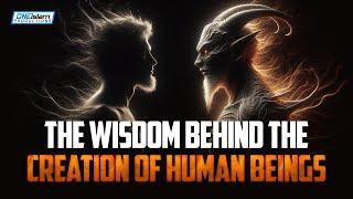 The Wisdom Behind The Creation Of Human Beings