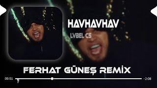 Onlar Arkadan Havlarlar ( Ferhat Güneş Remix ) LVBEL C5 - HAVHAVHAV