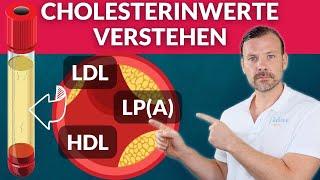 Cholesterin und die Blutgefäße - die Zusammenhänge erklärt: LDL,HDL und Lipoprotein A