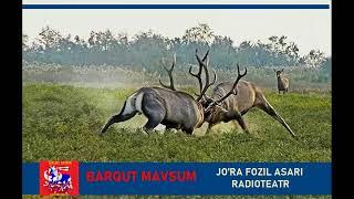 Barqut mavsum.  Jo'ra Fozil qissasi asosida radioteatr