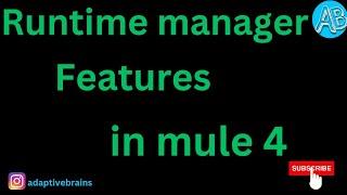 Runtime Manager | Features | alerts | Logs | Deploy | Mule 4