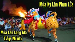 Múa Kỳ Lân Phun Lửa / Múa Rồng Nhang Tây Ninh / Múa Lân Long Mã 2021