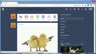 How To Auto Post Your Picture To Tumblr Privately - NinjaBlaster Marketing Software [NEW]