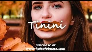 Afrobeat instrumentals 2023" Tinini – ( Afro Pop Type Beat )