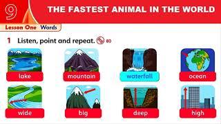 UNIT 9  THE FASTEST ANIMAL IN THE WORLD   Family and friends 3   second edition, online video cutter