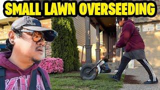 OVERSEEDING NEIGHBOR'S SMALL LAWN!