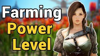 Artisan in 1 Day - BDO Farming Power Level and Quick Start Guide