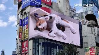 3D GIANT LED Shared by WORLDLINE TV (Source: セッドソウ)