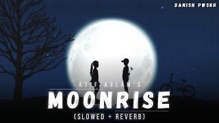 Atif Aslam: Moonrise (Slowed + Reverb) | Amy Jackson | Lofi Song | Danish Pwskr