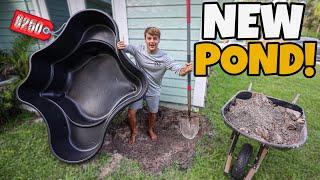 Building a BACKYARD FISH POND!! (cheap & easy)