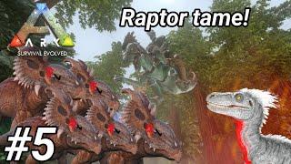 Max level Raptor tame! | Redwoods Survival EP5 | Ark Survival Evolved Mobile