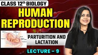 Parturition and Lactation | Human Reproduction Class 12 | Lecture - 9 | Class 12 Biology Chapter 2