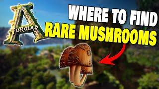 WHERE TO FIND RARE MUSHROOMS ON FORGLAR IN ARK SURVIVAL ASCENDED