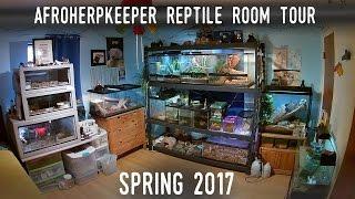 Reptile Room Tour Spring 2017 | FINALLY Back With 24 SPECIES!