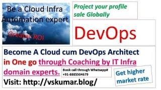 What are the Insight of DevOps Architect Role ?