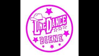 Before Lernvideo Teach & Dance Line Dance Biene Teil 2