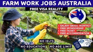 Reality of Farm Jobs in Australia with FREE Visa Sponsorship 2023/2024?Australia Work Visa