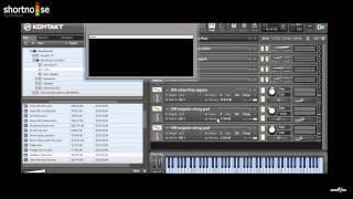 Prodyon Shortnoise Kontakt 4 Library